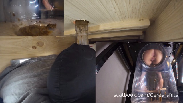 Ceres The Ultimate Human Toilet Setup Configuration