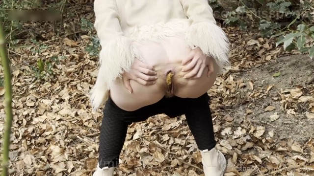 Lets Walk In The Woods