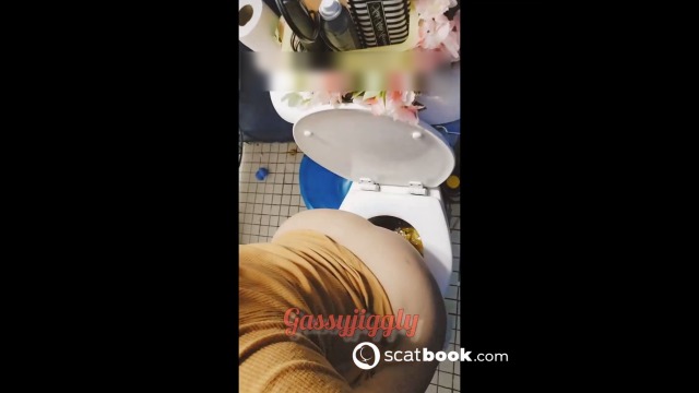 Toilet Poop And Farts